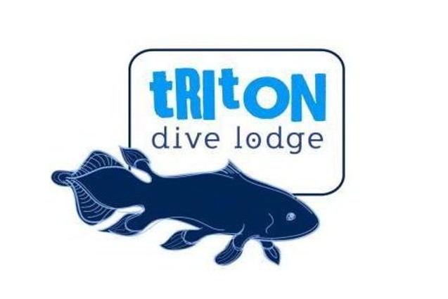 Triton 1